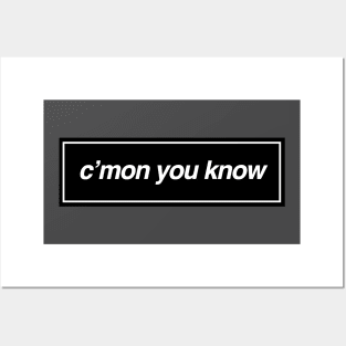 Liam Gallagher Inspired - C'mon You Know Posters and Art